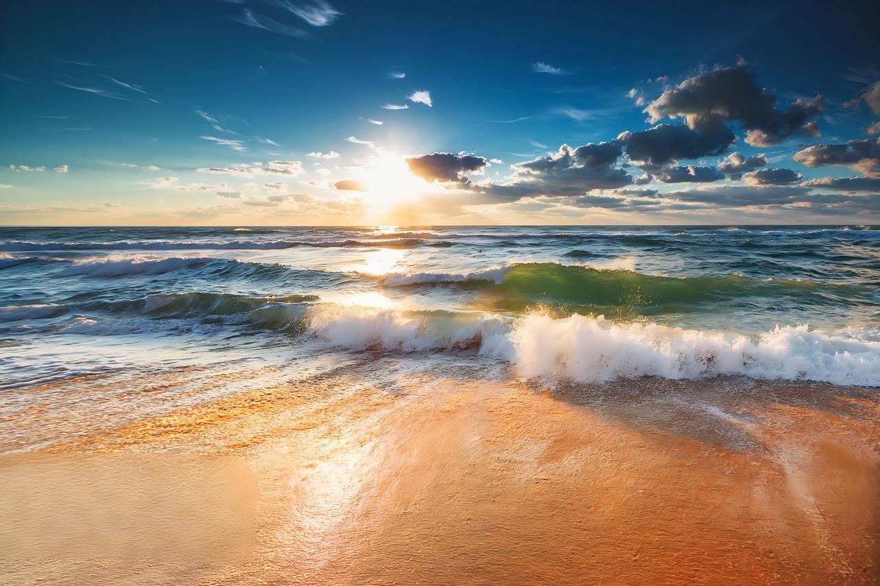 海带